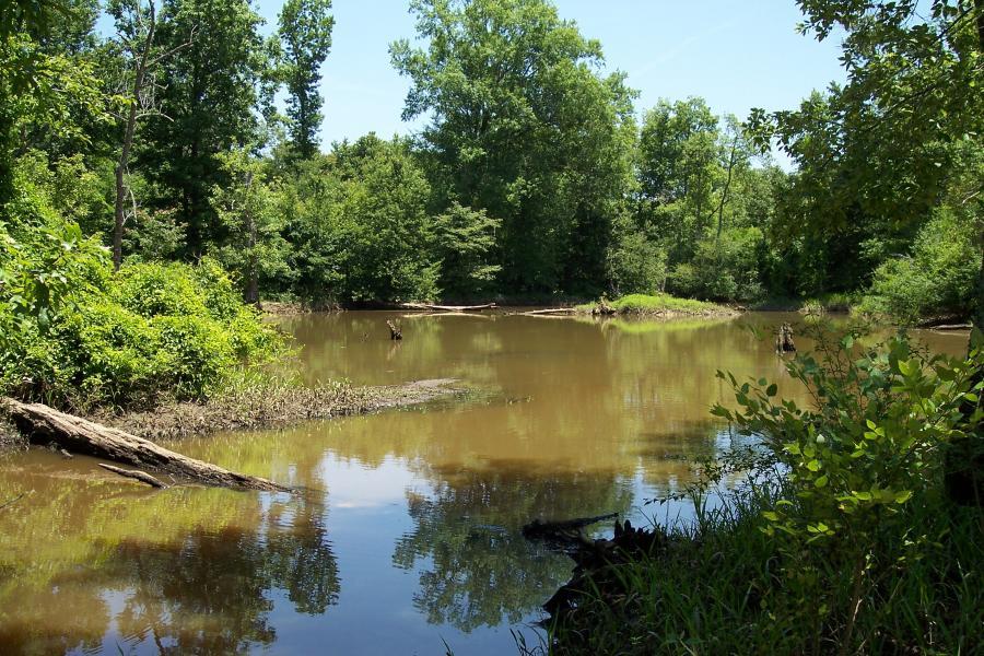 Open Woods Weeks Allow Increased Access to Forever Wild's Sipsey River